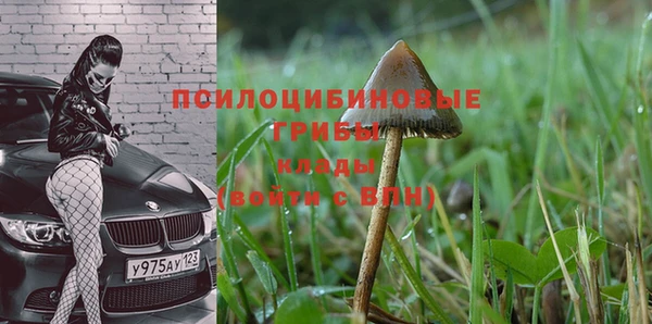 spice Абаза