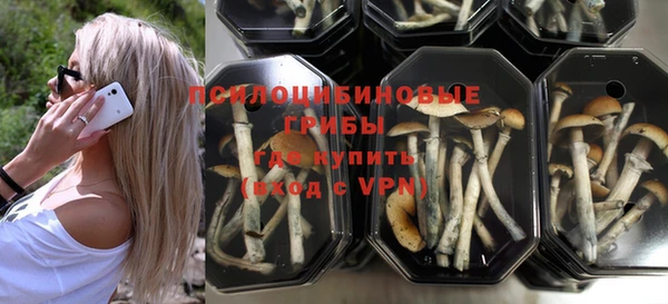 spice Абаза