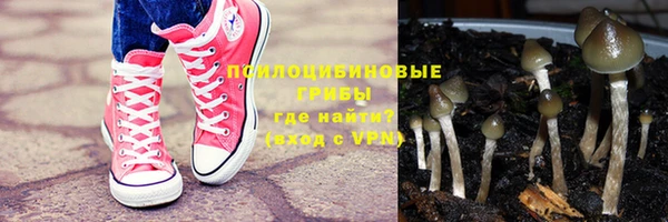 spice Абаза