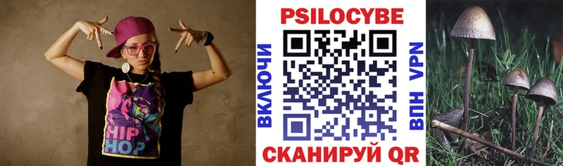 Псилоцибиновые грибы GOLDEN TEACHER продажа наркотиков Домодедово